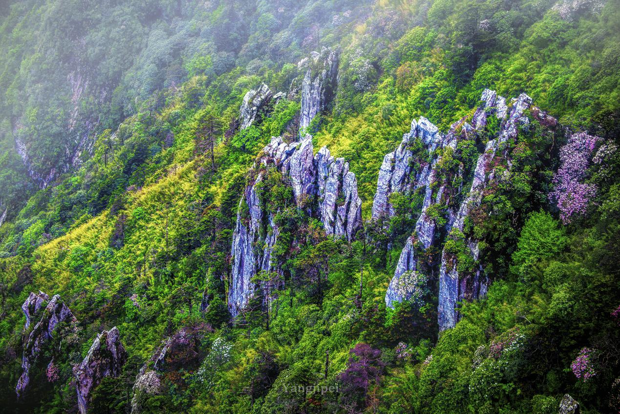 1573554361367045947.jpg 1573554361367045947.jpg