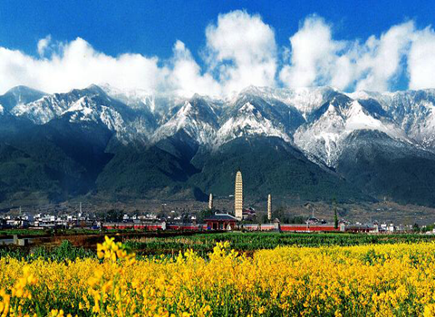 1573554430626062592.png 3.png