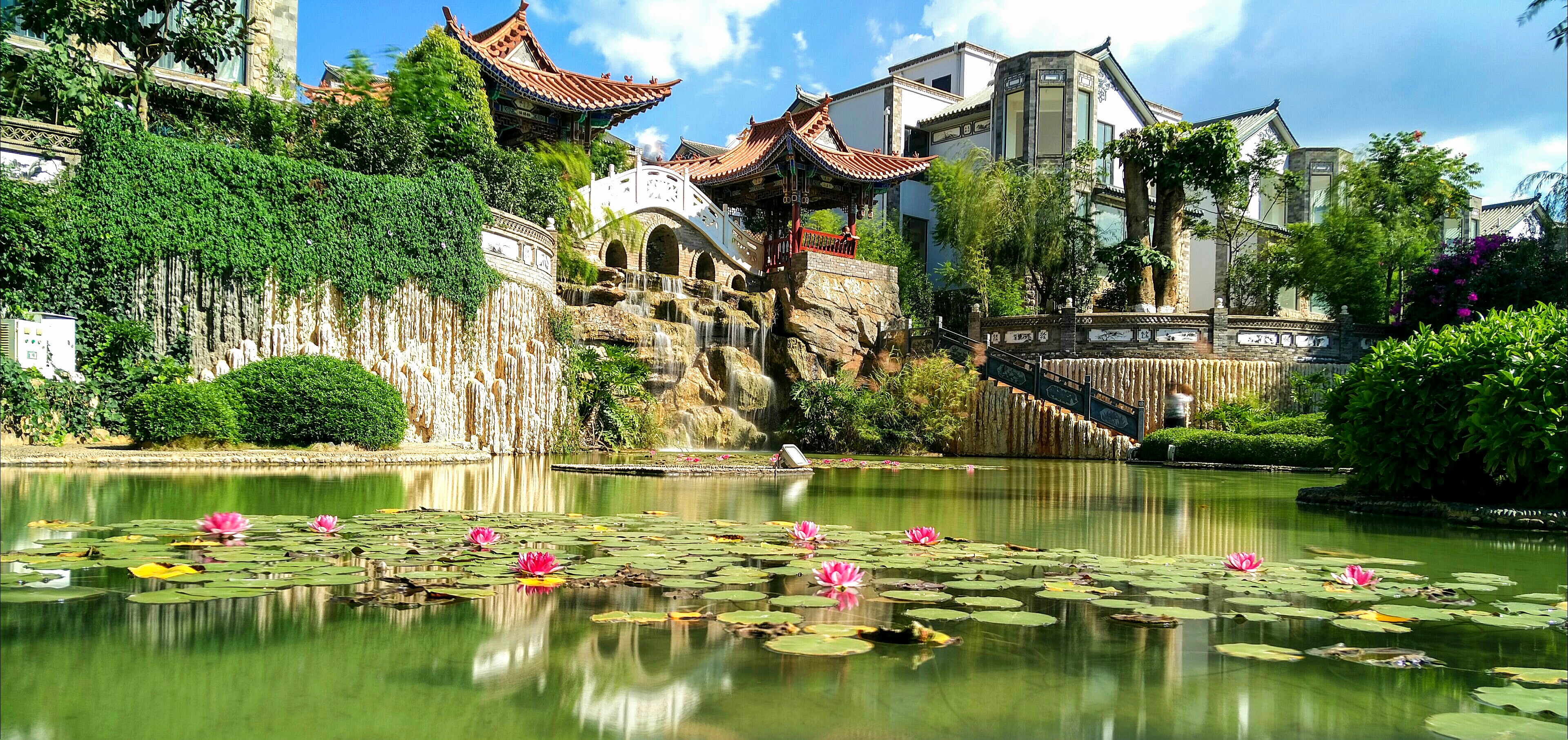 1587969140551023639.jpg 1587969140551023639.jpg