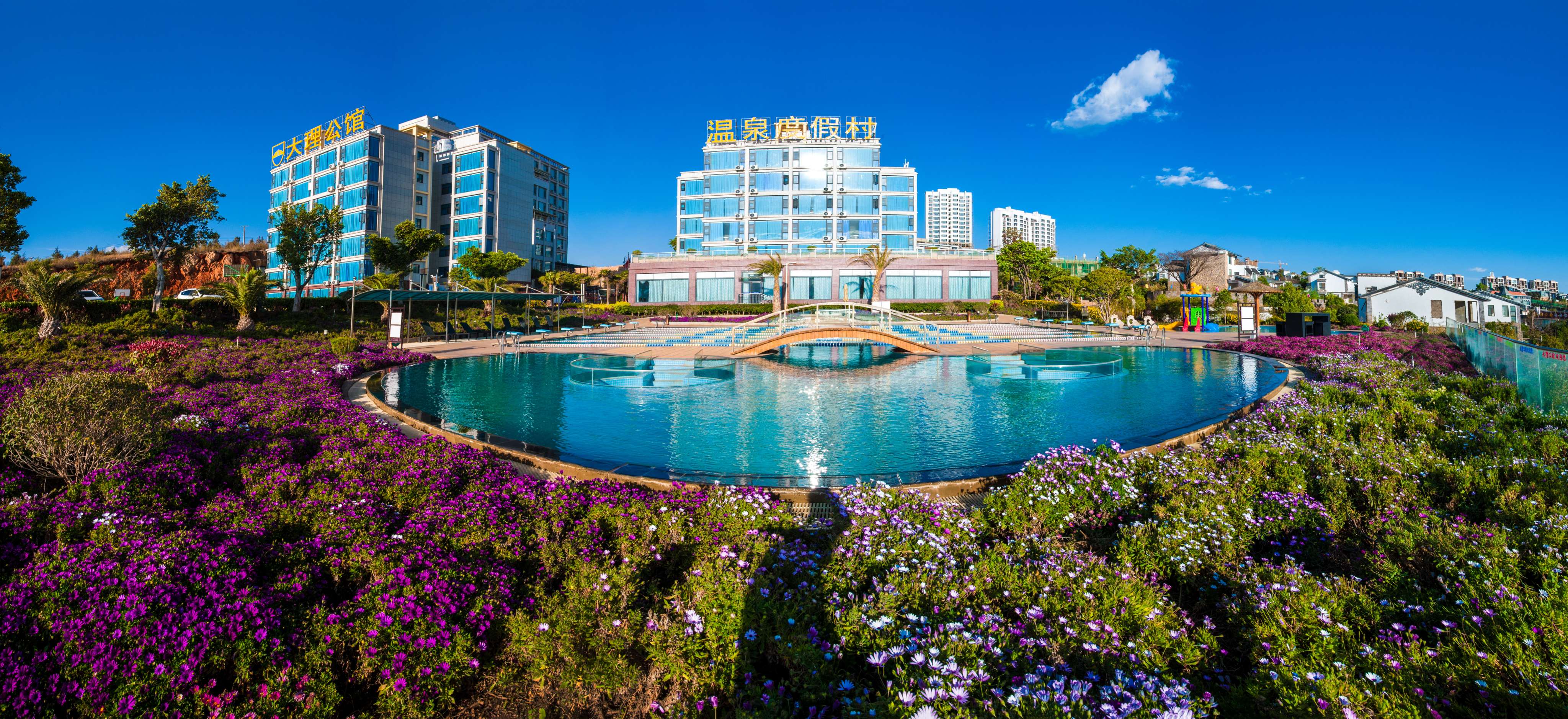 1587969250927091179.jpg 1587969250927091179.jpg